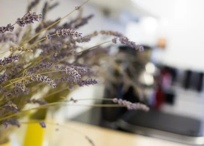 아파트 Valsabbion *